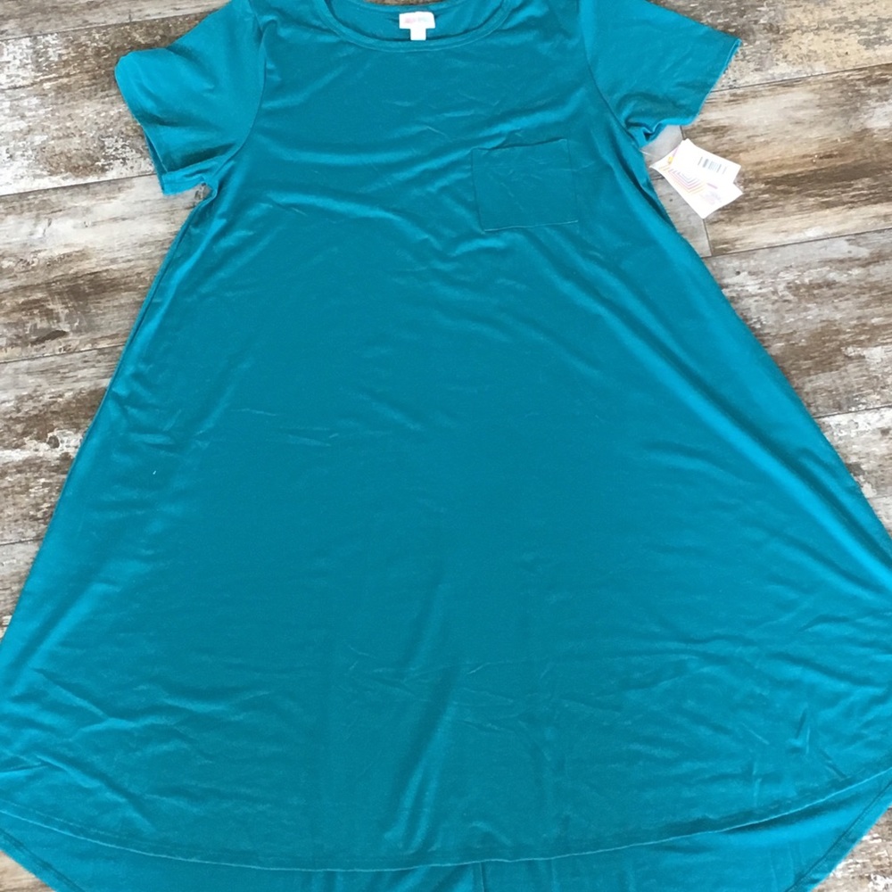 LuLaRoe Carly NWT XL